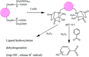 Graphical abstract: Dinuclear complexes of copper and zinc with m-xylene/cyclohexane-linked bis-aspartic acids: Synthesis, characterization, dioxygen activation, and catalytic oxidation of nitrobenzene in pure aqueous solution