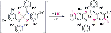 Graphical abstract: The new C–C bond formation in the reaction of o-amidophenolate indium(iii) complex with alkyl iodides