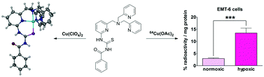 Graphical abstract: Synthesis, characterisation and evaluation of a novel copper-64 complex with selective uptake in EMT-6 cells under hypoxic conditions