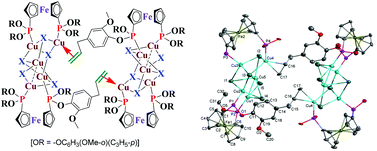 Graphical abstract: Synthesis, transition metal chemistry and catalytic reactions of ferrocenylbis(phosphonite), [Fe{C5H4P(OC6H3(OMe-o)(C3H5-p))2}2]