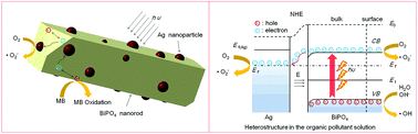 Graphical abstract: Ag/BiPO4 heterostructures: synthesis, characterization and their enhanced photocatalytic properties