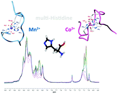 Graphical abstract: Manganese and cobalt binding in a multi-histidinic fragment