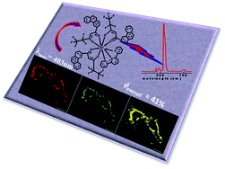 Graphical abstract: A mitochondria-specific visible-light sensitized europium β-diketonate complex with red emission