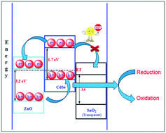 Graphical abstract: Current density enhancement in ZnO/CdSe photoelectrochemical cells in the presence of a charge separating SnO2 nanoparticles interfacing-layer