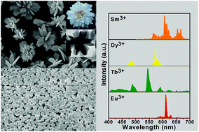 Graphical abstract: Facile template free synthesis of Gd2O(CO3)2·H2O chrysanthemum-like nanoflowers and luminescence properties of corresponding Gd2O3:RE3+ spheres