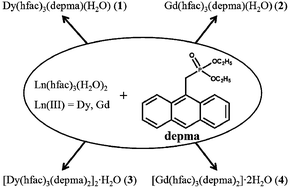Graphical abstract: Mononuclear lanthanide complexes incorporating an anthracene group: structural modification, slow magnetic relaxation and multicomponent fluorescence emissions in Dy compounds