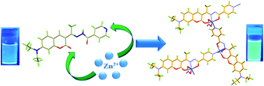 Graphical abstract: A Zn2+-responsive highly sensitive fluorescent probe and 1D coordination polymer based on a coumarin platform