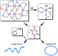 Graphical abstract: Zinc complexes supported by methyl salicylato ligands: synthesis, structure, and application in ring-opening polymerization of l-lactide