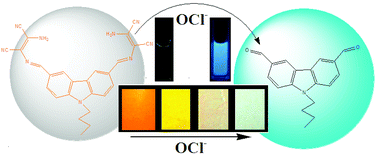 Graphical abstract: Highly reactive (<1 min) ratiometric “naked eye” detection of hypochlorite with real application in tap water