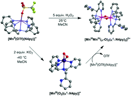 Graphical abstract: Reaction landscape of a pentadentate N5-ligated MnII complex with O2˙− and H2O2 includes conversion of a peroxomanganese(iii) adduct to a bis(μ-oxo)dimanganese(iii,iv) species