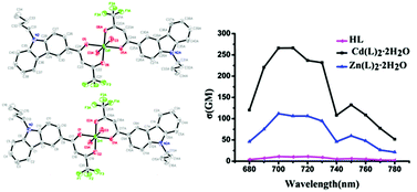 Graphical abstract: Two novel six-coordinated cadmium(ii) and zinc(ii) complexes from carbazate β-diketonate: crystal structures, enhanced two-photon absorption and biological imaging application