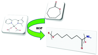 Graphical abstract: Structural and kinetic studies of the polymerization reactions of ε-caprolactone catalyzed by (pyrazol-1-ylmethyl)pyridine Cu(ii) and Zn(ii) complexes