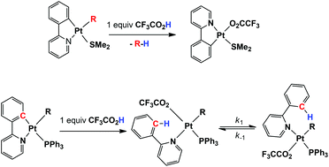 Graphical abstract: Selectivity in metal–carbon bond protonolysis in p-tolyl- (or methyl)-cycloplatinated(ii) complexes: kinetics and mechanism of the uncatalyzed isomerization of the resulting Pt(ii) products