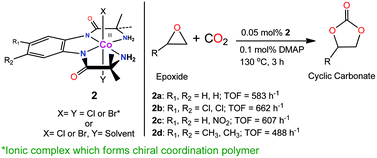 Graphical abstract: Synthesis and characterization of Co(iii) amidoamine complexes: influence of substituents of the ligand on catalytic cyclic carbonate synthesis from epoxide and carbon dioxide