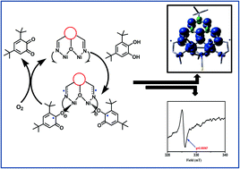 Graphical abstract: A radical pathway in catecholase activity with nickel(ii) complexes of phenol based “end-off” compartmental ligands