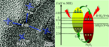 Graphical abstract: Hierarchically grown CdS/α-Fe2O3 heterojunction nanocomposites with enhanced visible-light-driven photocatalytic performance