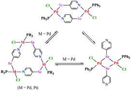 Graphical abstract: Syntheses of Pd(ii)/Pt(ii) complexes with non-chelating 4-pyridylselenolate ligand ranging from mononuclear to macrocyclic structures and their utility as catalysts in Suzuki C–C coupling reaction
