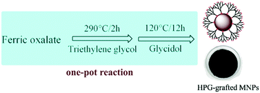 Graphical abstract: One-pot reaction for the large-scale synthesis of hyperbranched polyglycerol-grafted Fe3O4 nanoparticles