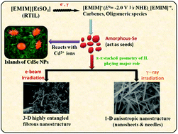 Graphical abstract: Islands of CdSe nanoparticles within Se nanofibers: a room temperature ionic liquid templated synthesis