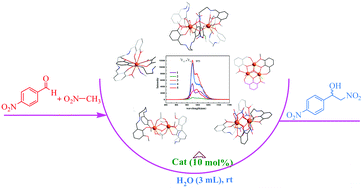 Graphical abstract: NIR luminescence and catalysis of multifarious salen type ytterbium complexes modulated by anions