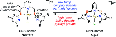 Graphical abstract: Fluxional interconversion of divalent palladium complexes having NSNSN ligands between flexible SNS and rigid NNN-coordinated structures
