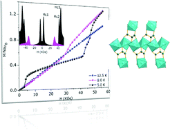 Graphical abstract: Layered transition metal carboxylates: synthesis, structural aspects and observation of multi-step magnetic transition through phase diagram