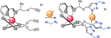 Graphical abstract: Optically pure heterobimetallic helicates from self-assembly and click strategies