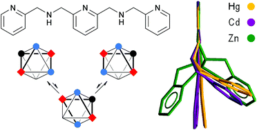 Graphical abstract: Structure and isomerization comparison of Zn(ii), Cd(ii) and Hg(ii) perchlorate complexes of 2,6-bis([(2-pyridyl-methyl)amino]methyl)pyridine