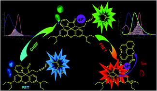 Graphical abstract: FRET based tri-color emissive rhodamine–pyrene conjugate as an Al3+ selective colorimetric and fluorescence sensor for living cell imaging