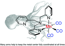 Graphical abstract: Introducing [Mn(CO)3(tpa-κ3N)]+ as a novel photoactivatable CO-releasing molecule with well-defined iCORM intermediates – synthesis, spectroscopy, and antibacterial activity