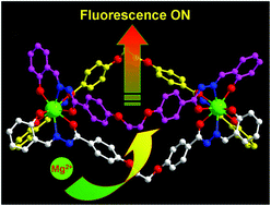 Graphical abstract: Coordination-driven nanosized lanthanide ‘Molecular Lanterns’ as luminescent chemosensors for the selective sensing of magnesium ions