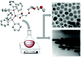 Graphical abstract: Copper(ii) and triphenylphosphine copper(i) ethylene glycol carboxylates: synthesis, characterisation and copper nanoparticle generation