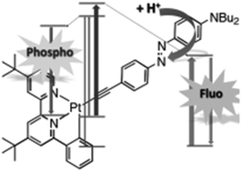 Graphical abstract: Cyclometalated platinum(ii) with ethynyl-linked azobenzene ligands: an original switching mode