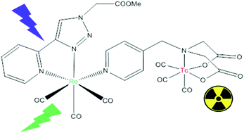 Graphical abstract: A functionalized heterobimetallic 99mTc/Re complex as a potential dual-modality imaging probe: synthesis, photophysical properties, cytotoxicity and cellular imaging investigations