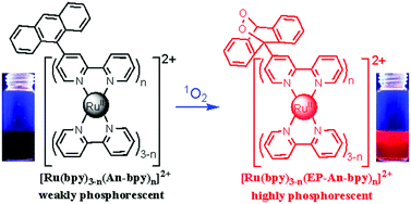 Graphical abstract: Development of singlet oxygen-responsive phosphorescent ruthenium(ii) complexes