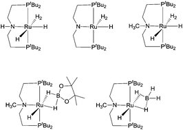 Graphical abstract: Synthesis and characterisation of ruthenium dihydrogen complexes and their reactivity towards B–H bonds