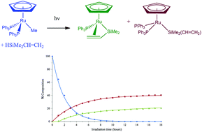 Graphical abstract: Photochemical studies of (η5-C5H5)Ru(PPh3)2Cl and (η5-C5H5)Ru(PPh3)2Me: formation of Si–H and C–H bond activation products