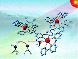 Graphical abstract: Insight into highly selective photocatalytic oxidation of alcohols by a new trinuclear ruthenium complex with visible light