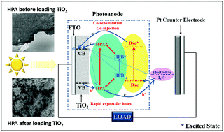 Graphical abstract: Photocurrent enhanced dye-sensitized solar cells based on TiO2 loaded K6SiW11O39Co(ii)(H2O)·xH2O photoanode materials
