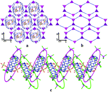 Graphical abstract: [CdCl4]2− anion-induced coordination of alkaline earth metal ions to cucurbit[7]uril, corresponding supramolecular self-assemblies and potential application