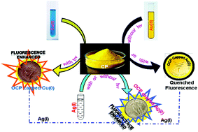 Graphical abstract: The tuning of metal enhanced fluorescence for sensing applications