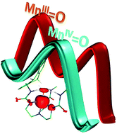 Graphical abstract: Theoretical studies on concerted versus two steps hydrogen atom transfer reaction by non-heme MnIV/III [[double bond, length as m-dash]] O complexes: how important is the oxo ligand basicity in the C–H activation step?