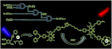 Graphical abstract: Modular logic gates: cascading independent logic gates via metal ion signals