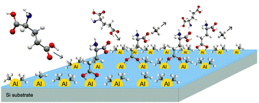 Graphical abstract: Guidance of growth mode and structural character in organic–inorganic hybrid materials – a comparative study