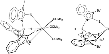 Graphical abstract: Benzannulated tris(2-mercapto-1-imidazolyl)hydroborato ligands: tetradentate κ4-S3H binding and access to monomeric monovalent thallium in an [S3] coordination environment