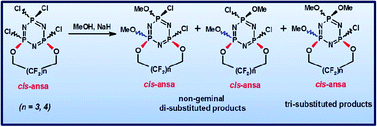 Graphical abstract: Nucleophilic substitution reactions of 10- and 11-membered fluorodioxy ansa cyclotriphosphazene derivatives