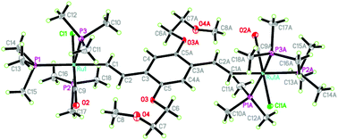 Graphical abstract: Bimetallic ruthenium complexes bridged by divinylphenylene bearing oligo(ethylene glycol)methylether: synthesis, (spectro)electrochemistry and the lithium cation effect