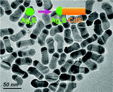 Graphical abstract: Solution-phase catalytic synthesis, characterization and growth kinetics of Ag2S–CdS matchstick-like heteronanostructures