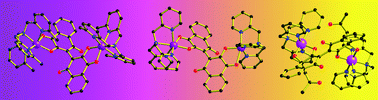 Graphical abstract: Dinuclear cobalt(ii) and cobalt(iii) complexes of bis-bidentate napthoquinone ligands