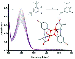 Graphical abstract: Influence of inductive effects and steric encumbrance on the catecholase activities of copper(ii) complexes of reduced Schiff base ligands